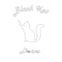 https://www.edoardotaddei.com/wp-content/uploads/2022/04/logo-blak-kat-devices-1-125x125.png